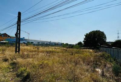 Teren de 1989 mp, în Șagului