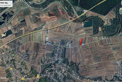 Teren Construcții intravilan de 7000 mp, în Stoenești (Florești-Stoenești) - 16