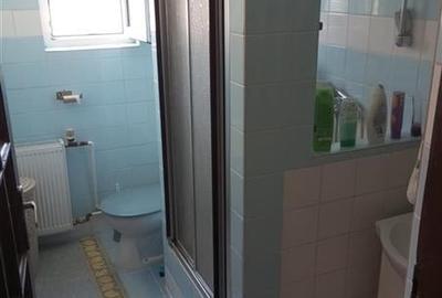 De vanzare casa mare , zona Brancoveanu, suprafata utile 350 mp - 29