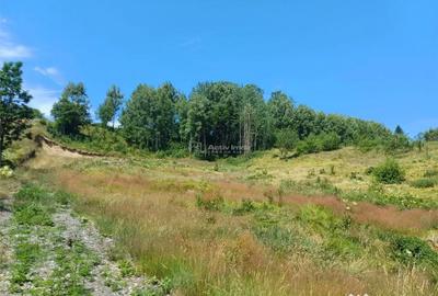 Teren de 4500 mp, în Brebu - 5