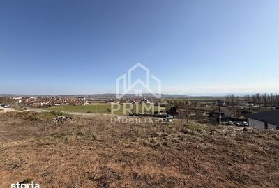 Teren de 5600 mp, în Cetate - 6