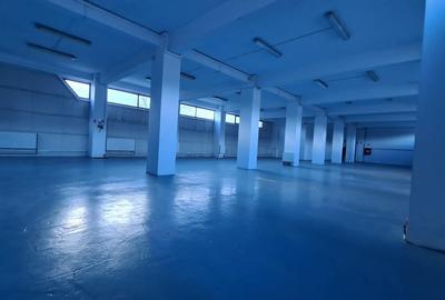 Hală modernă multifuncțională – 1.300 mp –Bucium, Iași- DE ÎNCHIRIAT - 3