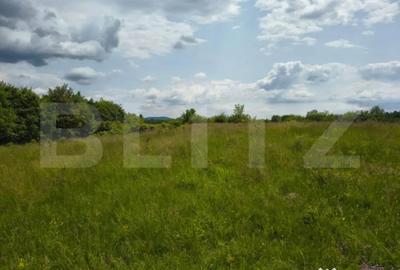 Teren în Teișani - 6