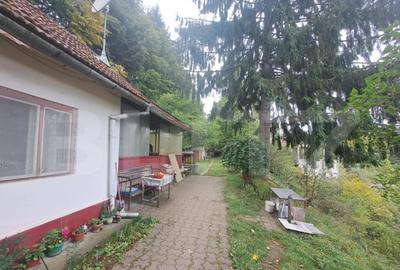 Casa de vanzare Colonia 1 Mai 75.000 EURO - 10