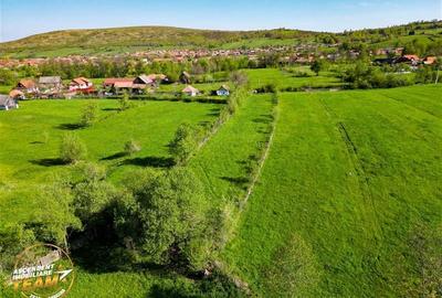 FILM! 2.063 mp de refugiu natural in localitatea Zagon, Covasna - 3