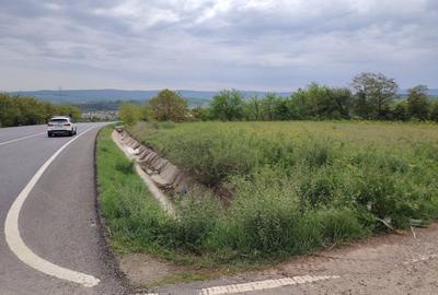 Teren intravilan 1800 mp, Centura-Ciurbesti-dubla deschidere - 13