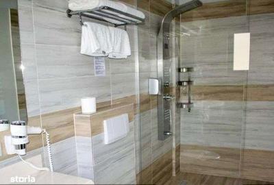 Spațiu comercial, de 761 mp, în Săpânța - 5