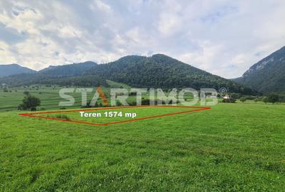 Teren intravilan Zarnesti - 6