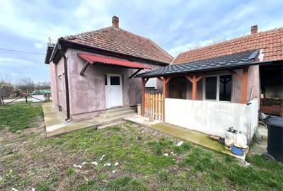 Casă cu 3 camere cu Teren 1850 Mp în Odoreu - 12
