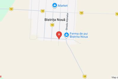 Teren Construcții intravilan de 1000 mp, în Bistrița Nouă - 1