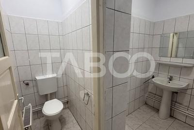 Spațiu comercial, de 250 mp, în Orașul de Jos - 7