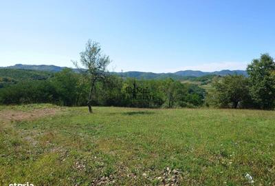 Spațiu comercial, în Luncoiu de Sus - 6