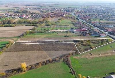 Teren intravilan la 5km de Satu Mare - 2