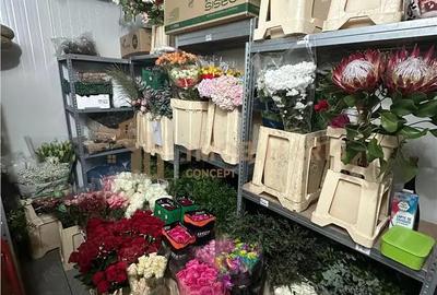 Afacere la cheie - Florarie cu traditie, pozitionata central - 7