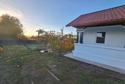 Casă cu 2 camere cu Teren 2800 Mp în Spineni - 4