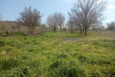 Casă cu 4 camere în Slava Rusă - 1