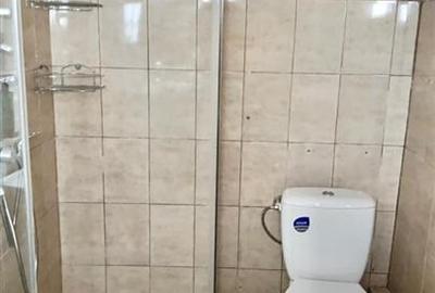 Casă individuală cu 5 camere cu Canalizare în Ultracentral - 9