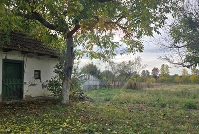 Teren generos cu potential in comuna Silindia, judetul Arad - 4