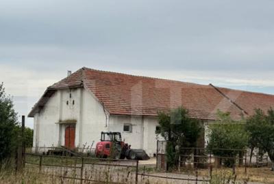 Ferma de Vanzare in judetul Timis, la nord est de Timisoara, - 16