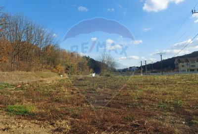 Teren intravilan de vanzare in Hidiselul de Jos, jud.Bihor - 10