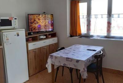 Casă cu 2 camere cu Teren 180 Mp în Sintea Mare - 4