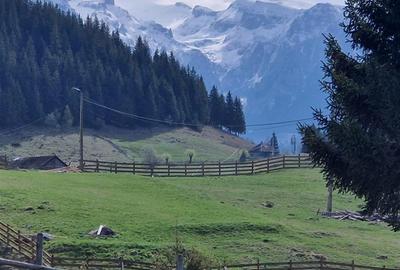 7.000 mp, pozitie spectaculoasa, fara vecini, Fundatica, Brasov - 12