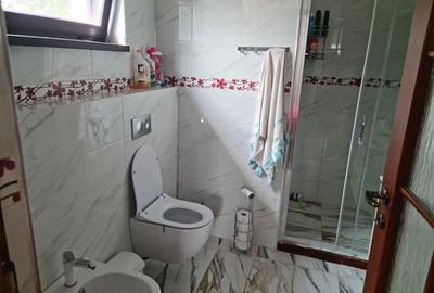 Casă cu 6 camere cu Teren 803 Mp în Cotu Vameș - 8