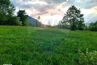 Teren de 4223 mp, în Bran - 10