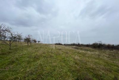 Teren intravilan pentru constructii de vanzare in Feleacu - 2