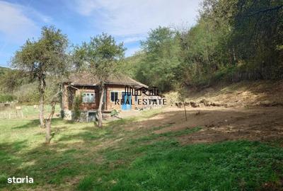 Casă cu 4 camere cu Teren 9563 Mp în Ribița - 18