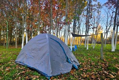 Gradina urbana pentru recreere - Baneasa - 4