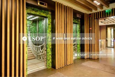 Spațiu comercial, de 5,900 mp, în Băneasa - 1