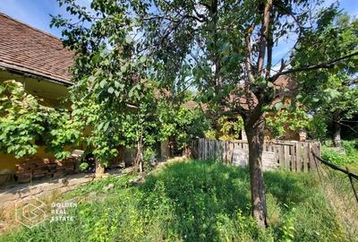 Casă cu 3 camere cu Teren 1807 Mp în Lipova - 3