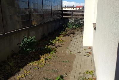 Vanzare duplex, P+1+M, Otopeni - 16