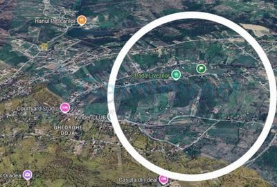 Teren Construcții intravilan de 1665 mp, în Dealuri Oradea - 1