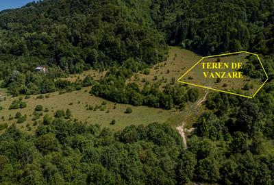 Teren superb in Rasnov Glajerie retras si intim - 4