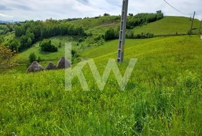 Teren 16469 mp extravilan arabil  Poiana Marului zona Vulcanita - 7