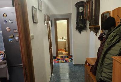 PF vand ap 2 camere Magurii - 2