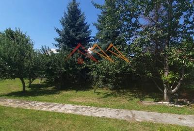 Casa tip conac, teren 4000 mp, finisaje deosebite, garaj, Prahova - 4
