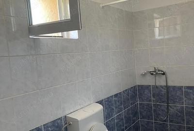 Casă cu 3 camere cu Teren 2533 Mp în Dunărea - 4