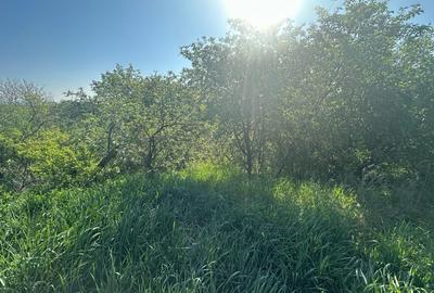 Casa Individuala Ozun Covasna teren 3200 mp - 13