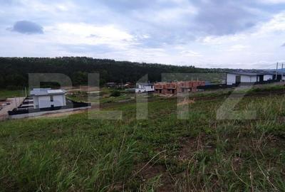 Spațiu comercial, în Valea Lupului - 4