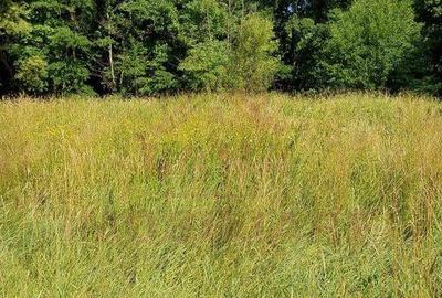 TEREN INTRAVILAN IN MARGA-LA DN68 JUD.CARA?-SEVERIN - 3