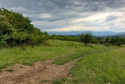 Teren Intravilan 6500mp, spre vanzare in Gusterita - 3