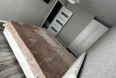 Garsonieră decomandată în Dristor - 5