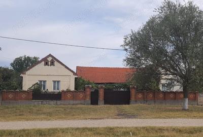 Casă cu 5 camere în Babșa - 8