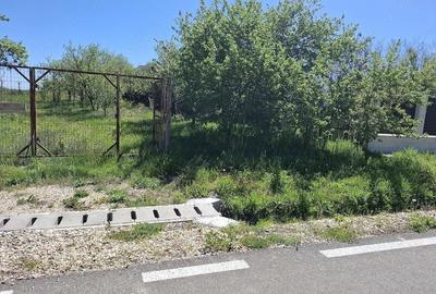 Teren de 4300 mp, în Vedea - 7