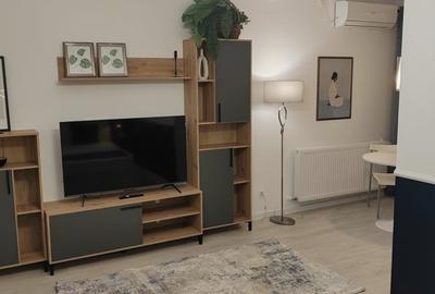 Garsonieră semidecomandată, mobilată în Costin Georgian - 5