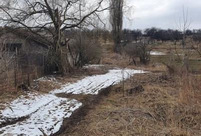 Teren Construcții extravilan de 10000 mp, în Bod - 11