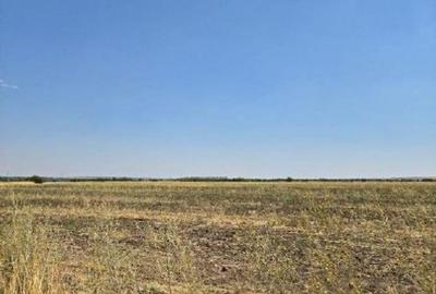 Teren de 4300 mp, în Smârdioasa - 2